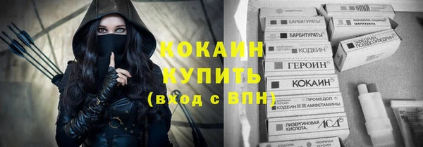 первитин Богданович