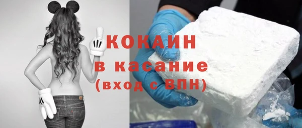 первитин Богданович
