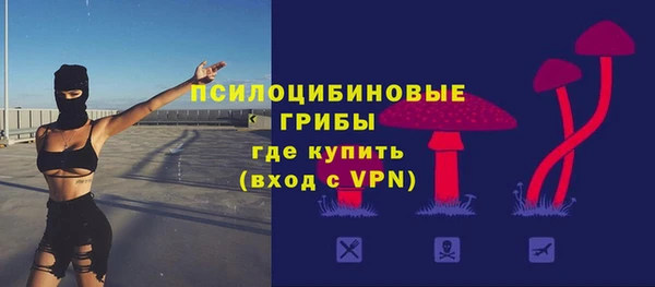 метадон Богородицк