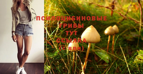первитин Богданович