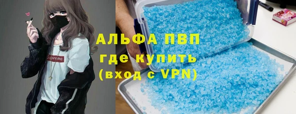 сатива Богородск