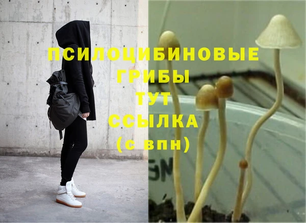 первитин Богданович