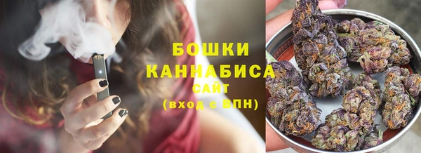 первитин Богданович