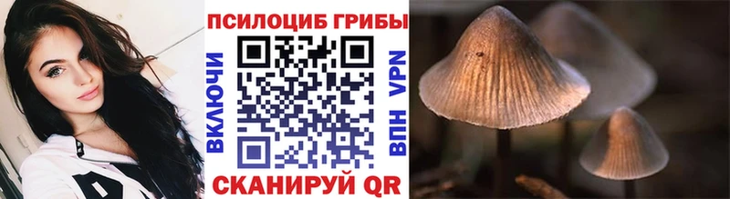 Галлюциногенные грибы Cubensis  где купить наркотик  Удачный 